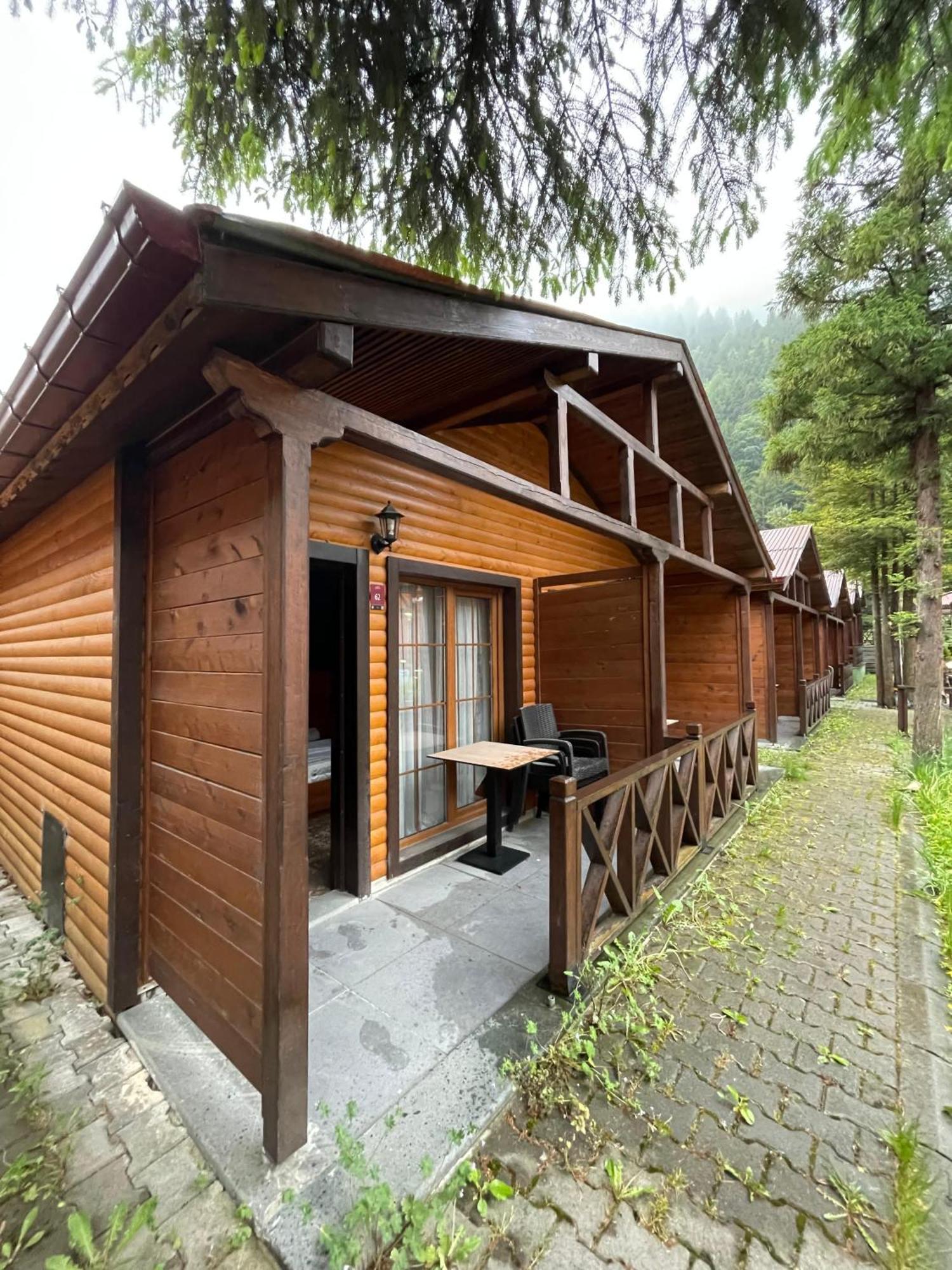 Centro Park Hotel Uzungol Bagian luar foto