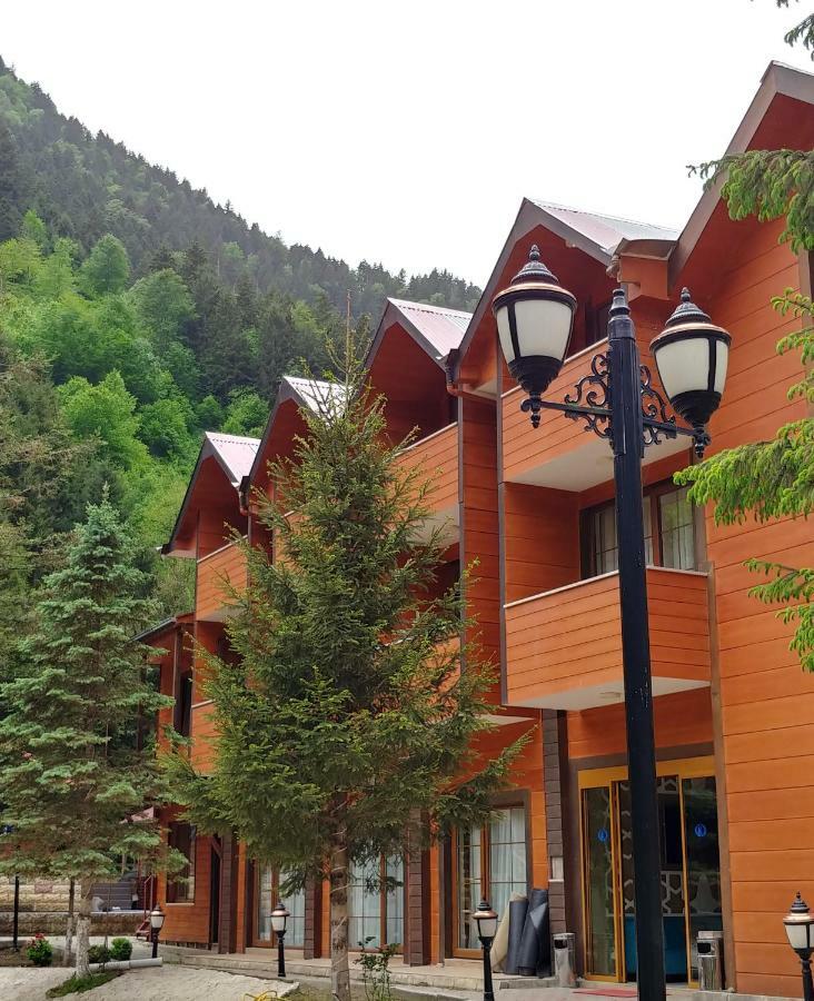Centro Park Hotel Uzungol Bagian luar foto