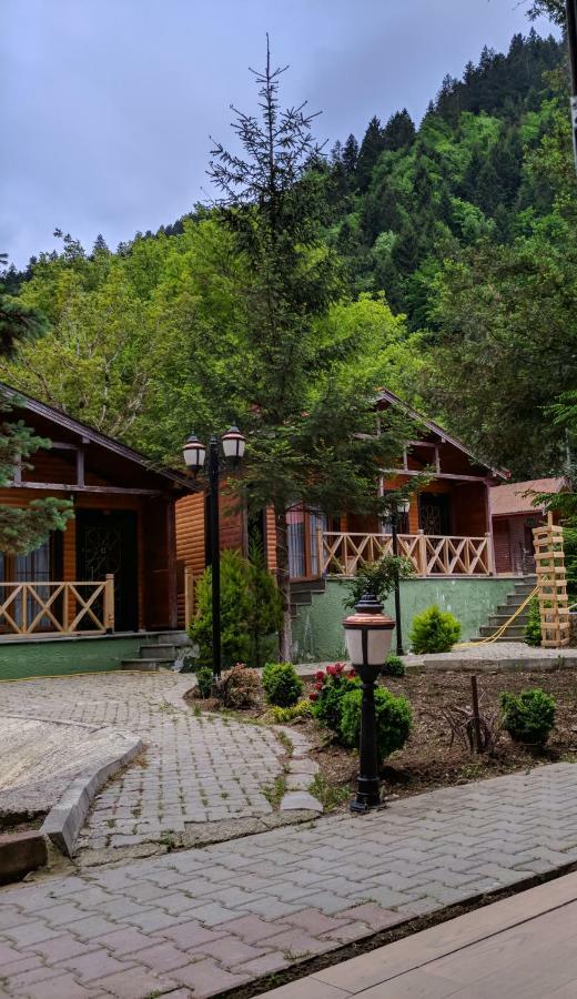 Centro Park Hotel Uzungol Ruang foto